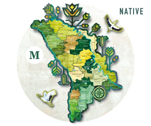 Native / M -900 mm x 773mm