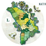 Native / L - 1300 mm x 1100 mm thumb-image 1