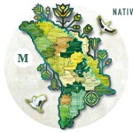 Native / M -900 mm x 773mm thumb-image 1